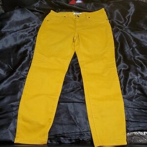 d. jeans Women's Mustard Skinny Jeans